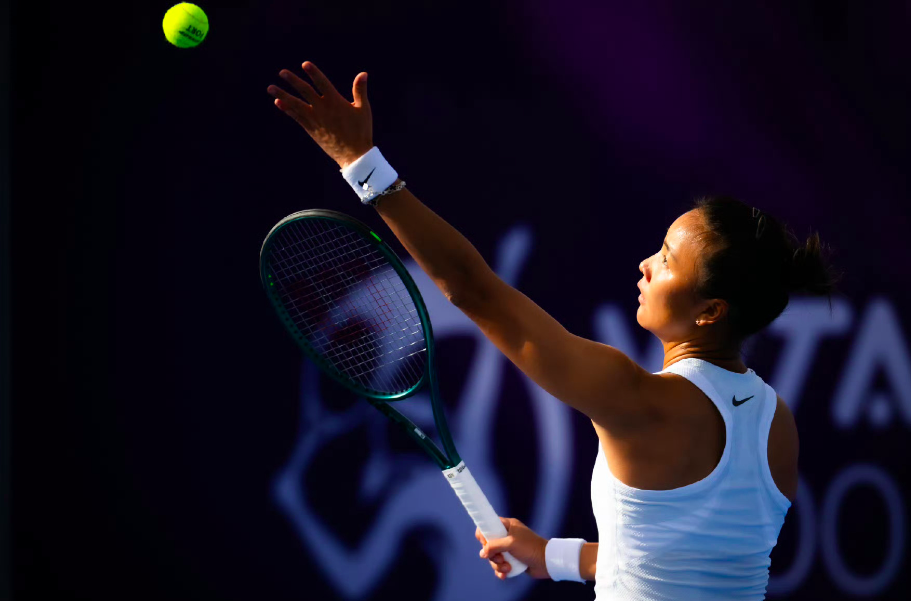 日迎来好消, hvd