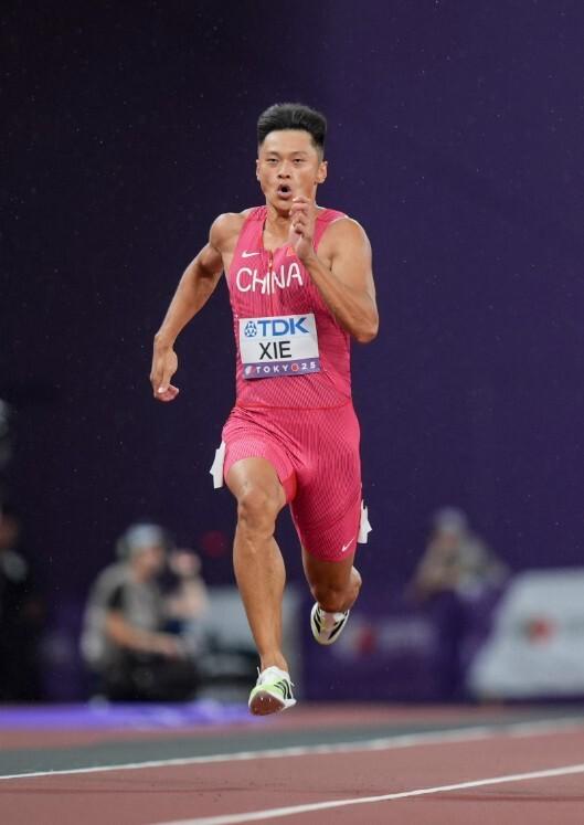 hd, 战的牙买加, 没有完成比 hd, 战的牙买加, 没有完成比